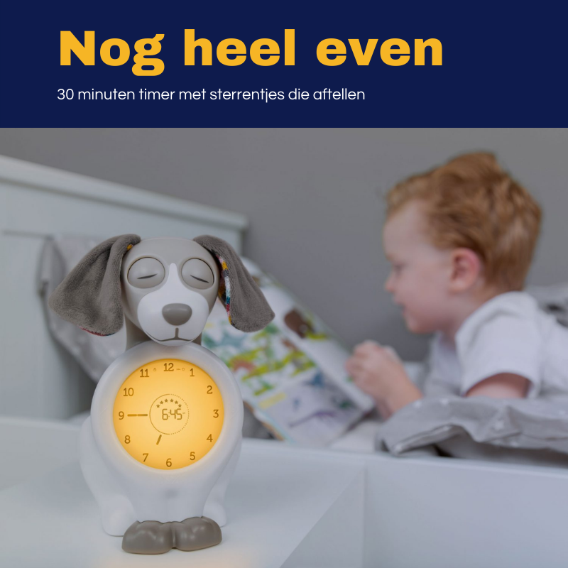 Zazu Davy de Dog Slaaptrainer en Kinderwekker