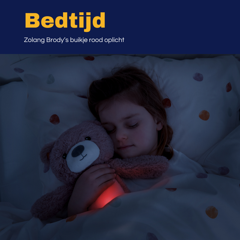Zazu Brody de Beer Slaaptrainer met Nachtlampje