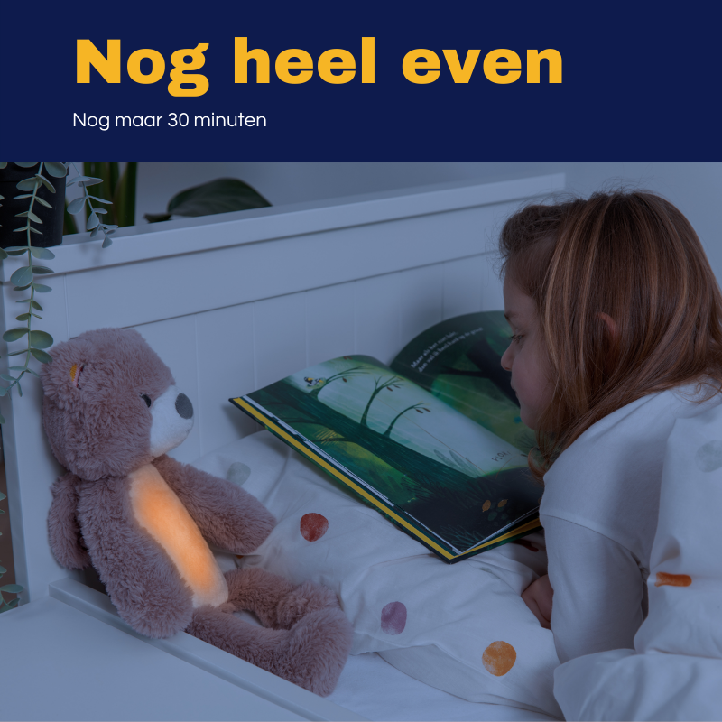 Zazu Brody de Beer Slaaptrainer met Nachtlampje
