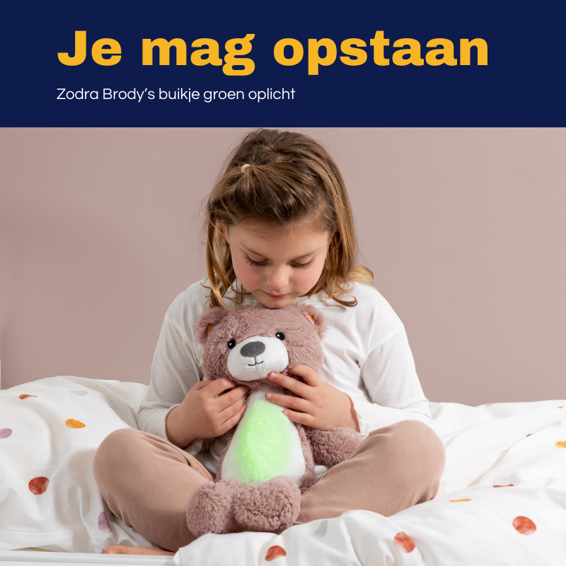Zazu Brody de Beer Slaaptrainer met Nachtlampje