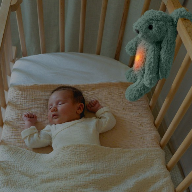 Zazu Ro de Konijn Hartslag Knuffel met Nachtlampje