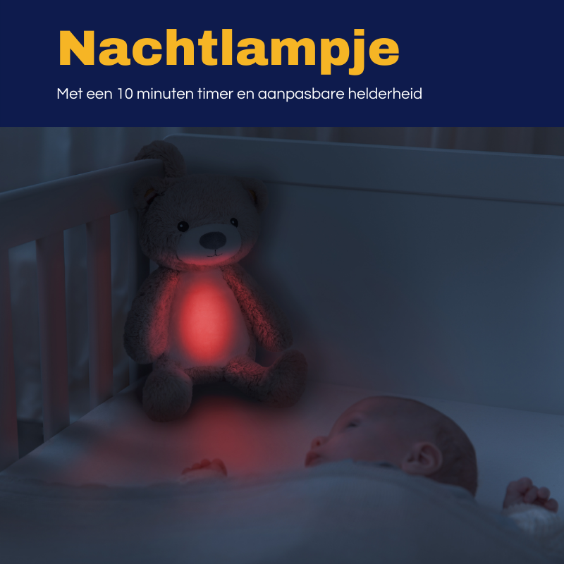 Zazu Brody de Beer Slaaptrainer met Nachtlampje