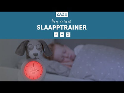 Davy de Hond introductie video